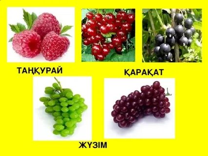 Орыс қызбен жыныстық массаж. Әдемі сұлудың видеосы.