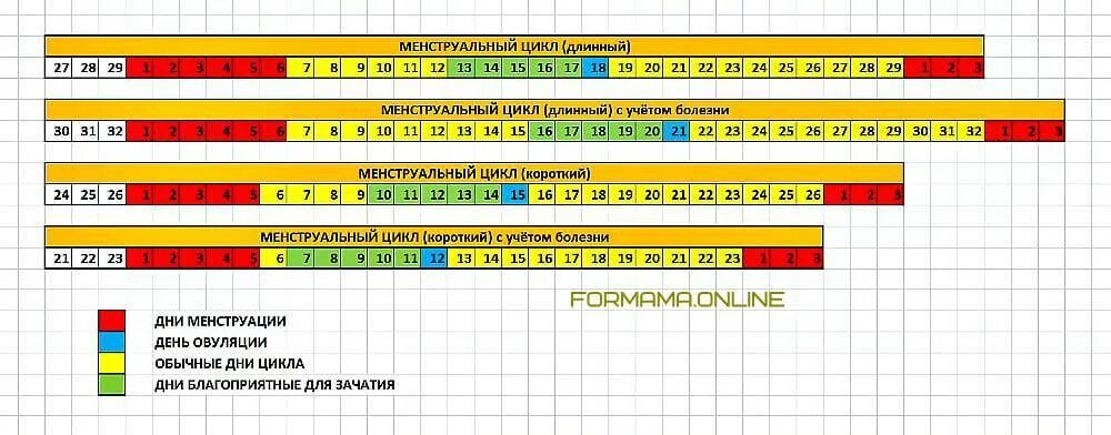 По месяцам рассчитать месячные. Как правильно считать месячные цикл пример. Как правильно посчитать цикл месячных пример. Как рассчитать 16 день цикла месячных. Что такое длина цикла месячных как вычислить.