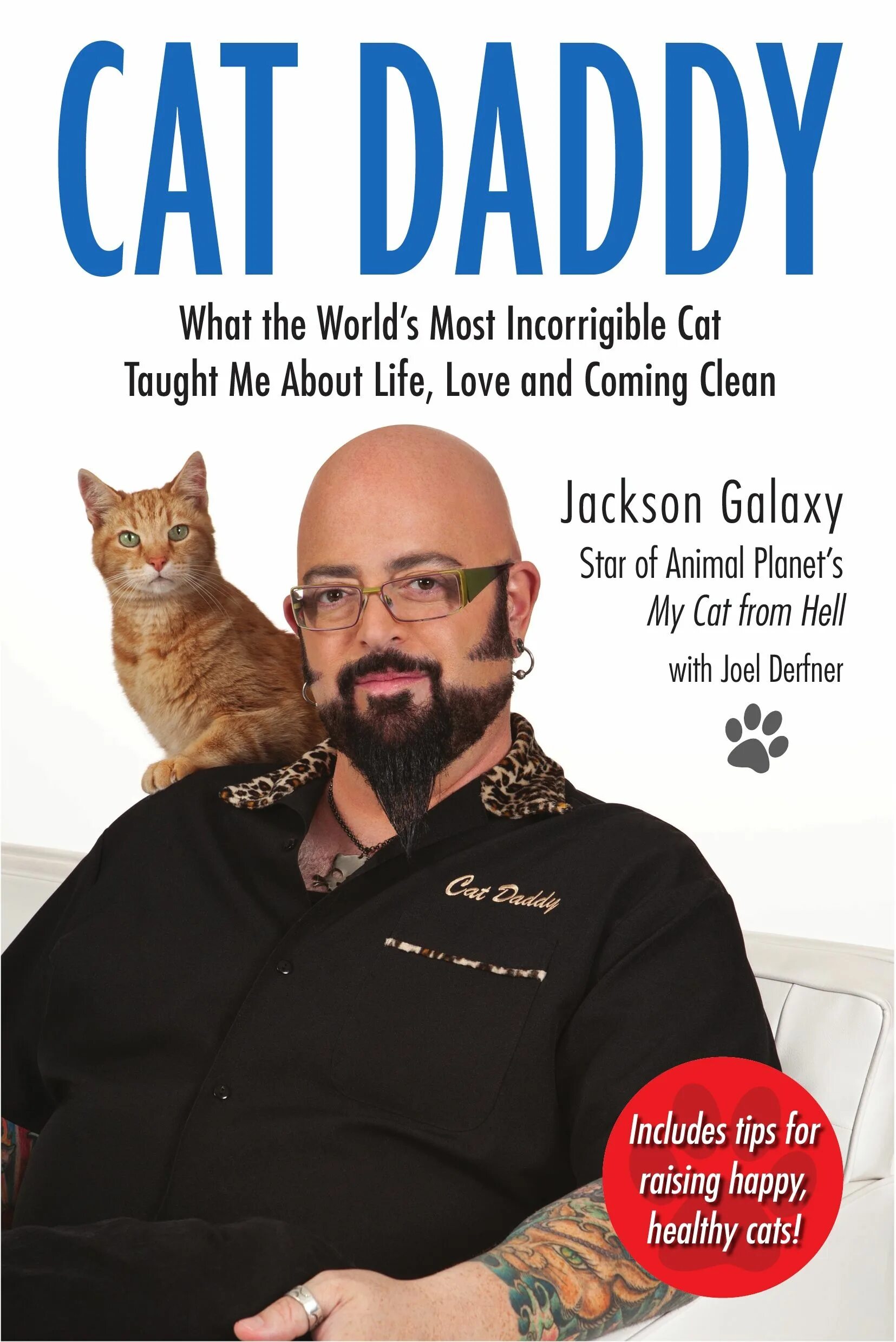 Адская кошка с Джексоном Гэлакси. Джексон кошки. Джексон галакси. Адская кошка. Cat daddy