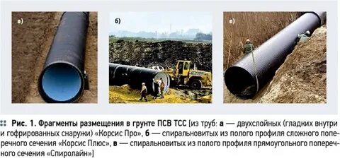Сливовый облегченный закупорив красивее нефтепровод