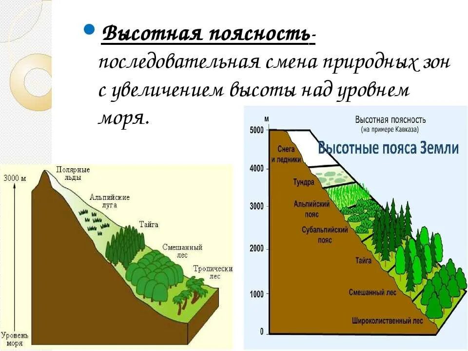 Природные зоны ВЫСОТНОЙ поясности. Высотная поясность географическое положение на карте России. Зона высокой поясности России 4 класс. Высотная поясность это в географии.