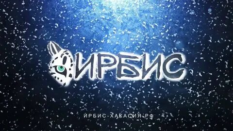 Ирбис аналитик
