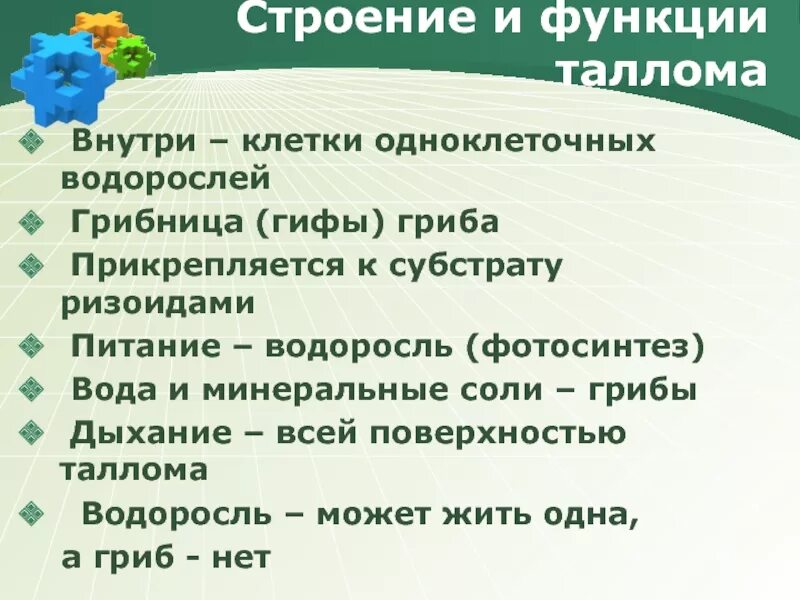 Питание водорослей. Грибы пионеры растительности. Функция таллома у ламинария. Прикрепляется к субстрату ризоидами.