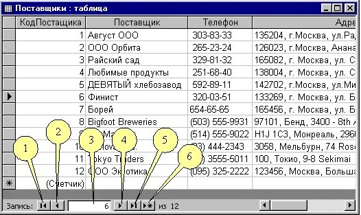 Программа для работы с файлами. Автоформа в столбец. Почему при закрытии таблицы программа. Почему при закрытии таблицы программа. Почему при закрытии таблицы программа.