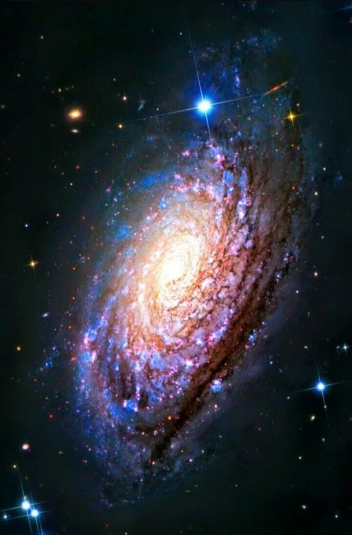 Туманность вуаль в созвездии лебедя. Hubble телескоп снимки 2021. Космос. Самая новая вселенная. Космос звезды галактика туманность.