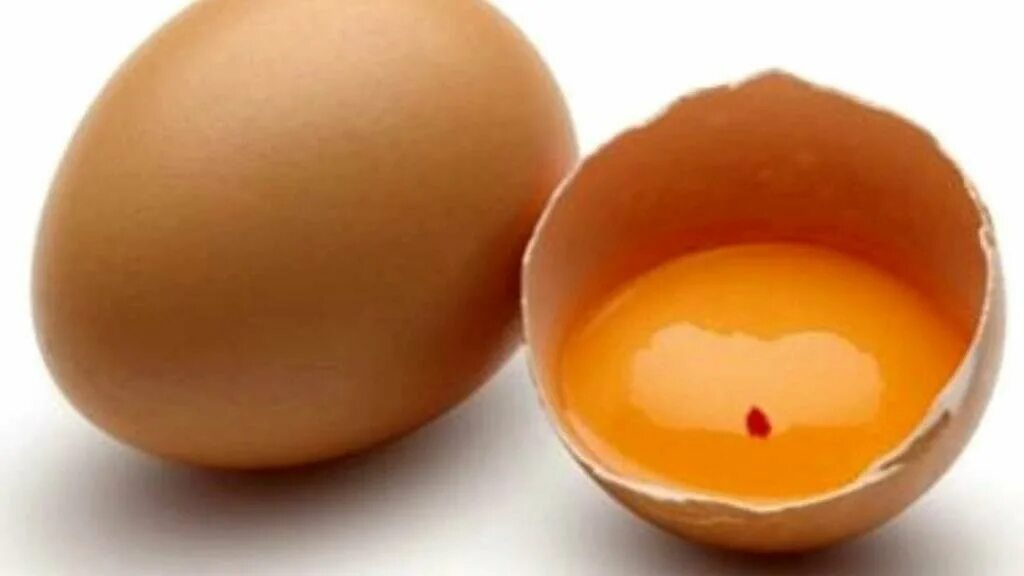 Куриное яйцо собаке. Пятна на скорлупе куриных яиц.