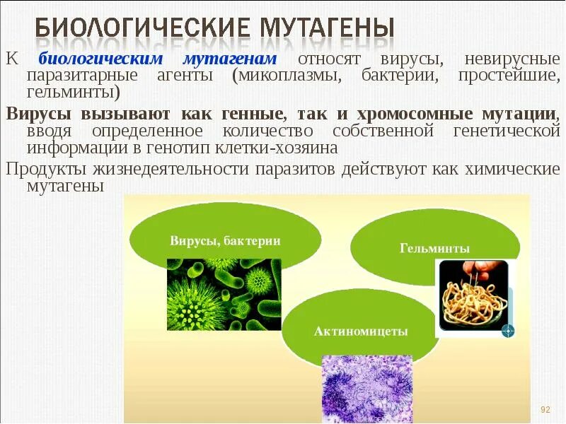 Биологические мутагены. Биологические мутагены вирусы. Биологичсекие мутаген. К биологическим мутагенам относят. Что можно отнести к биологическим