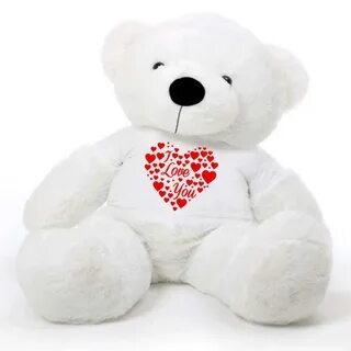 I am teddy