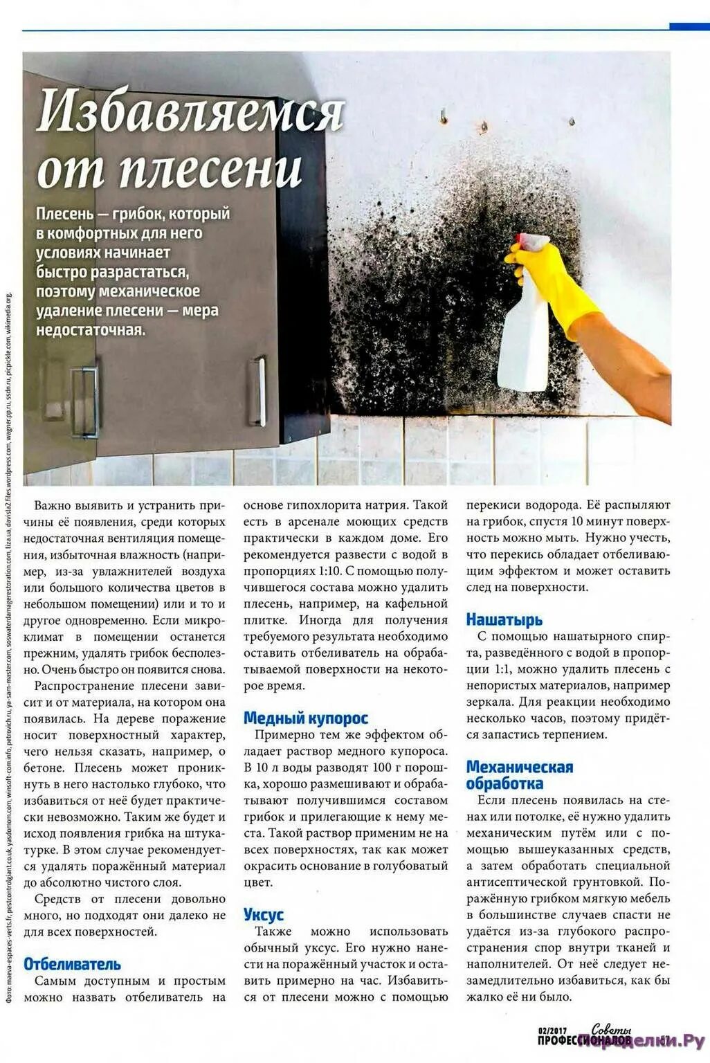 Медный купорос 50гр гб. Медный купорос от плесени и грибка. Медный купорос на меди. Медный купорос в квартире. Медный купорос против грибка.