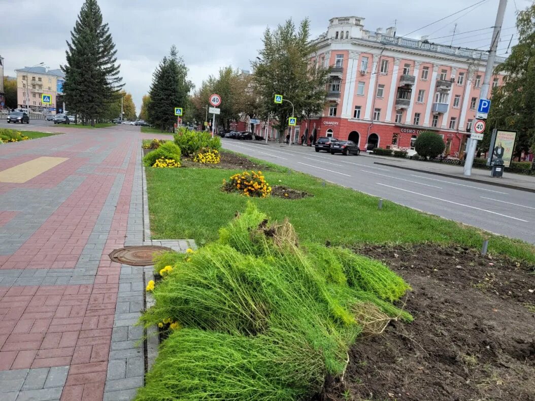 Г барнаул ул молодежная. Улица Молодежная Барнаул. Молодежная улица города Барнаула. Благоустройство и Озеленение г. Барнаула Ползунова. Улица Молодежная Барнаул фото.