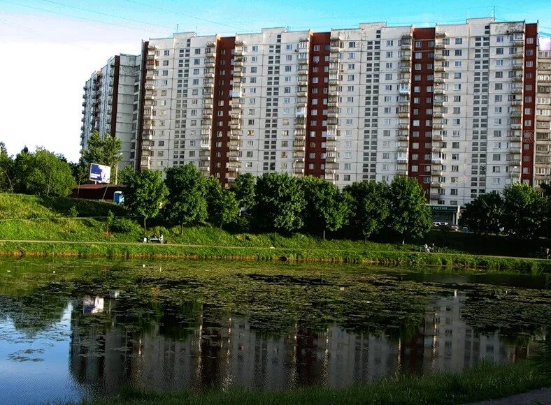 Ясенево ру. Ясенево Голубинская улица. Пруд в Ясенево на Голубинской улице. Ясенево улица Голубинская 2000 год. Ясенево (район Москвы).