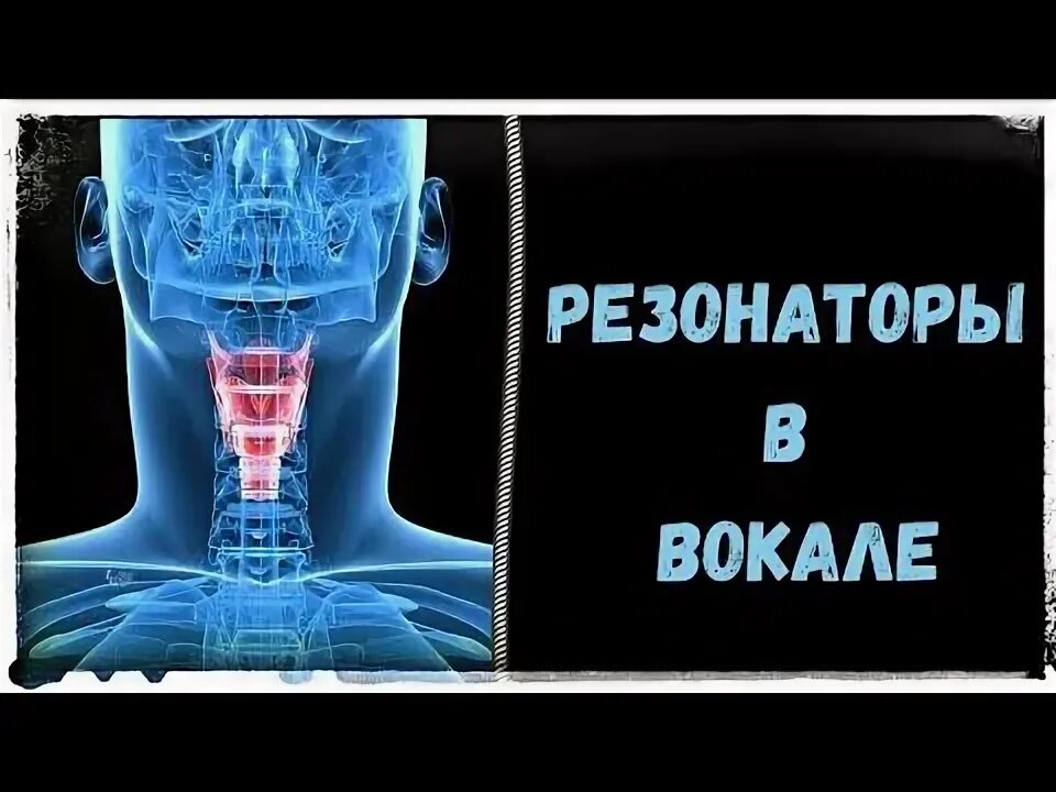 Резонаторы в вокале. Резонаторы голосового аппарата. Головной и грудной резонаторы. Голосовые резонаторы