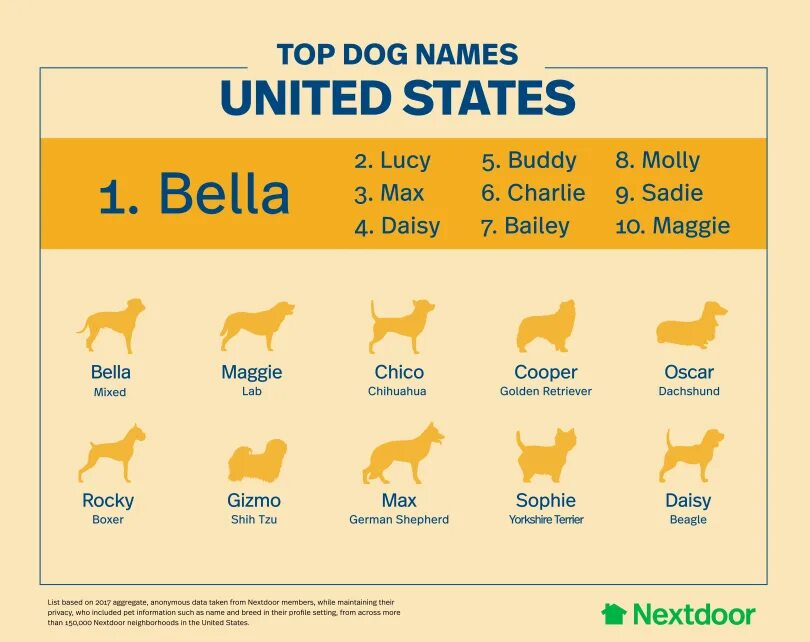 The name your dog. Чарли имя для собаки. Красивые имена для щенков мальчиков. The name your dog. Имена для собак.