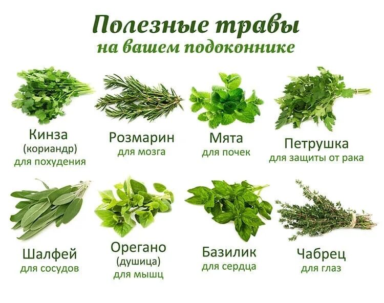 Какую можно добавить