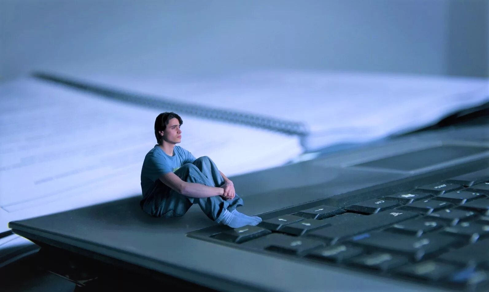 Человек на экране. Человек наблюдает. Люди в кинотеатре. Монитор делл 32 дюйма. Мужчина смотрит в монитор.