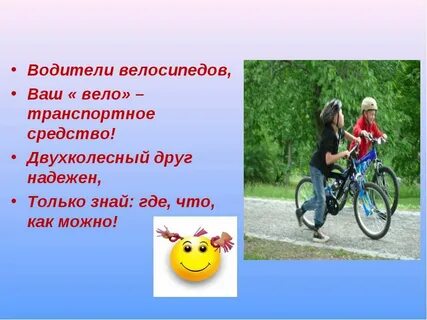 Велосипедист водитель транспортного средства обж 8 класс