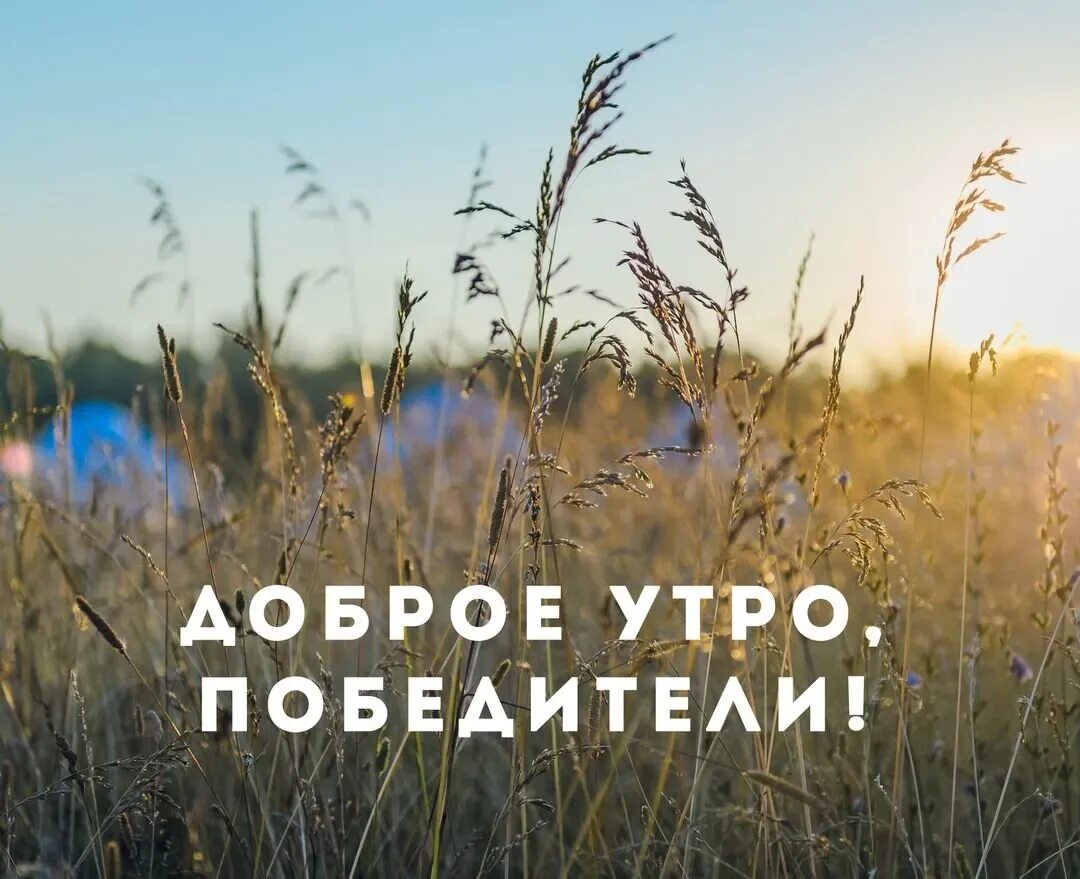 Доброе утро коллеги мотивирующие. Мотивация на утро. доьрле киро мотивация. доброе утро мотивирующие. с добрым утром мотивация.
