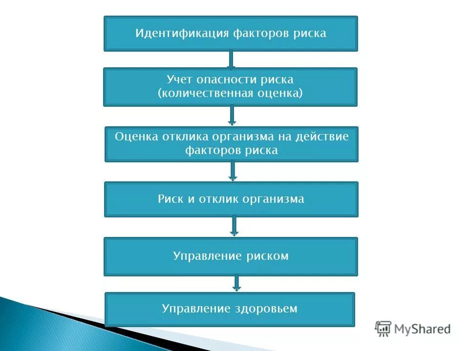 механизмы формирования половой идентичности. разрушающие факторы идентичности лидера. факторы формирующие здоровье. факторы влияющие на этническую идентичность. основные факторы формирования здоровья.