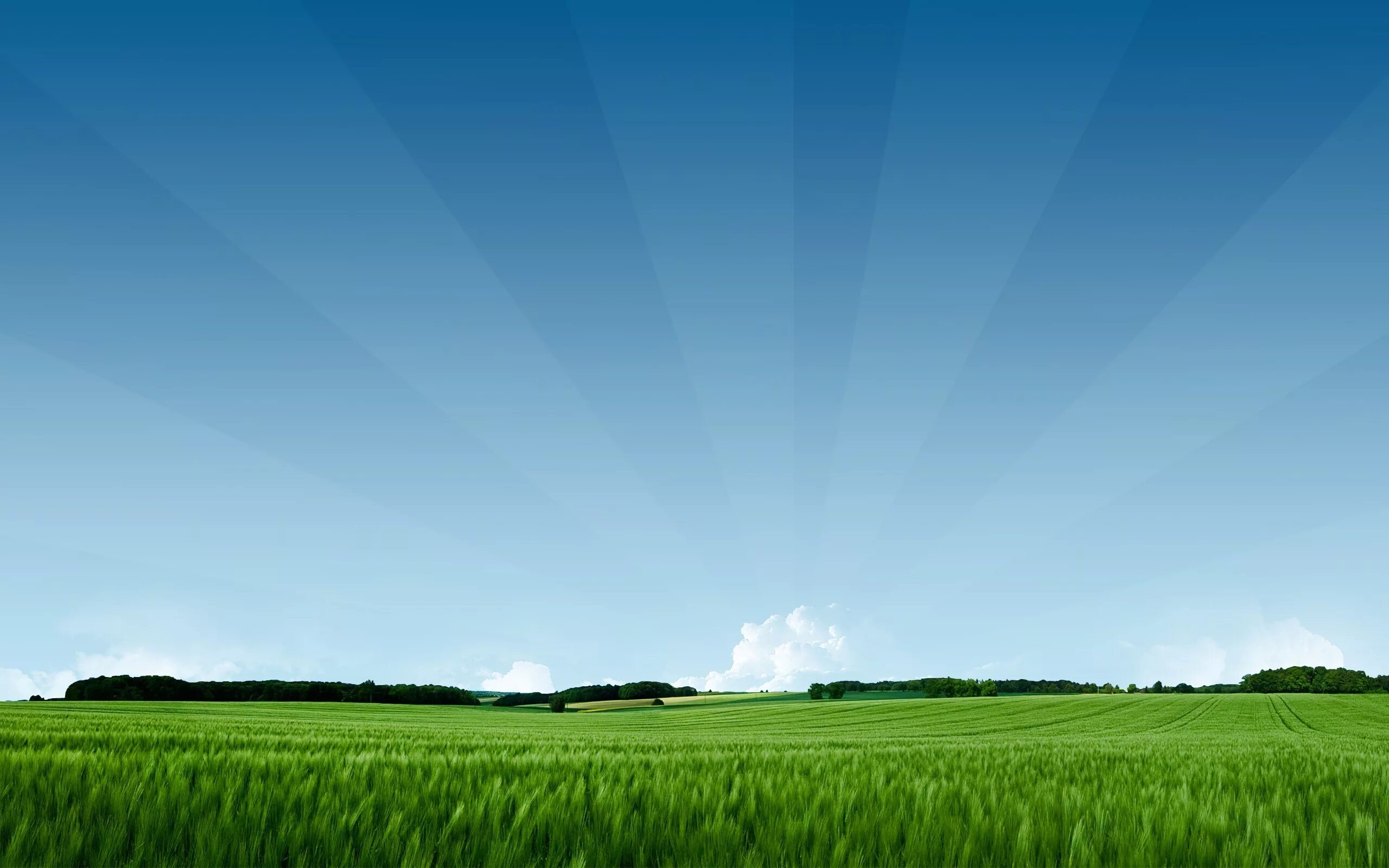 Simple fields