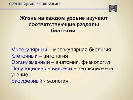 Структурные уровни биология