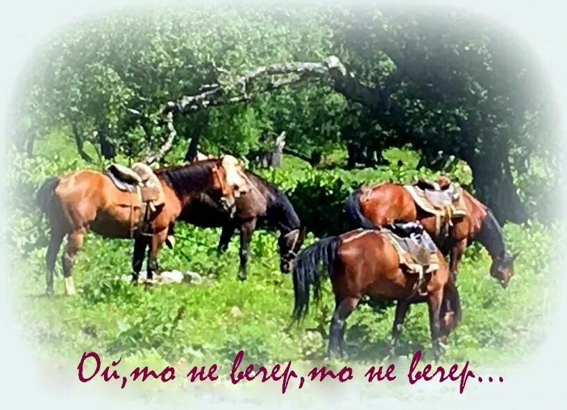 ноты для аккордеона. группа кубанский казачий хор. песня ой то не вечер. слова песни ой то не вечер. ой то не вечер ноты для аккордеона.