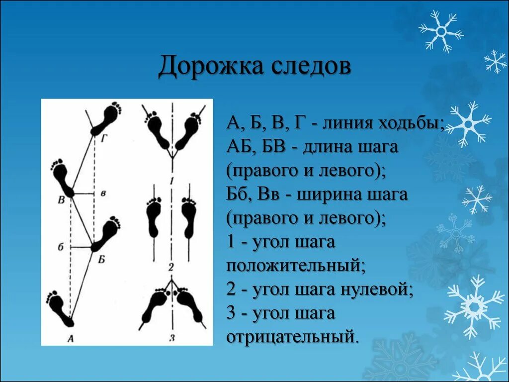 Протокол дорожки следов. Части дорожки следов ног человека. Дорожки следов ног человека криминалистика. Дайте Наименование элементов дорожки следов. Схему измерения дорожки следов ног.