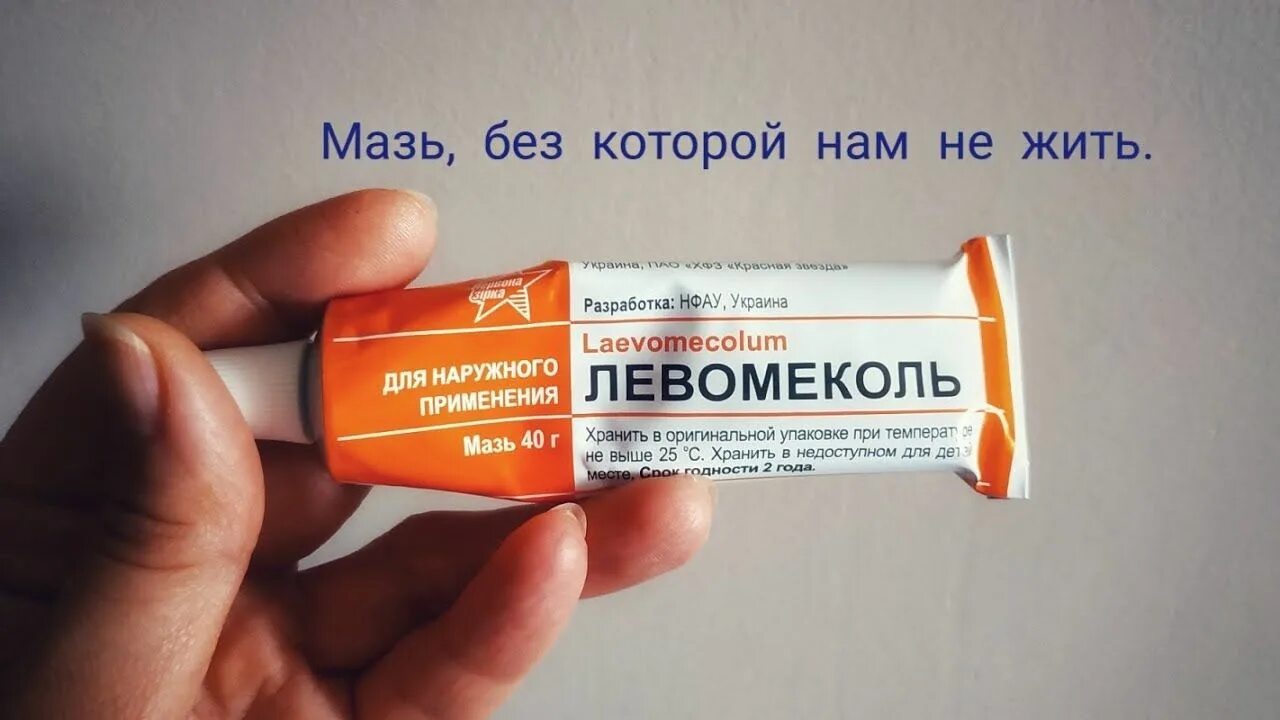 Мазь для заживления. Ируксоветин мазь для животных. Мазь для ран коту. Мазь от воспаления. Мазь для ран коту.
