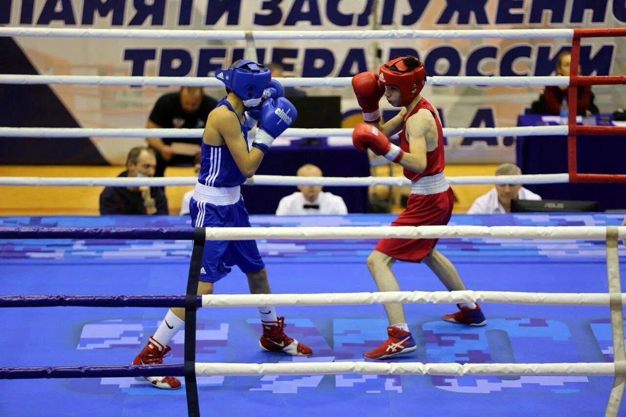 Соревнования по боксу памяти. Анапа бокс. Анапа 2006 Чемпионат России по боксу. Турнир боксеров в Анапе 2022 ноябрь.