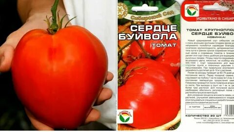 Сорт томата сердце буйвола фото и описание