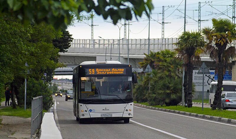 17 Автобус в Сочи. Сочи транспорт Сочи. Автобус 105 Сочи Адлер. Общественный транспорт Адлера.