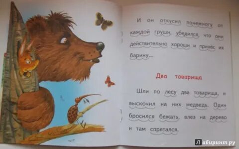 Шли по лесу два