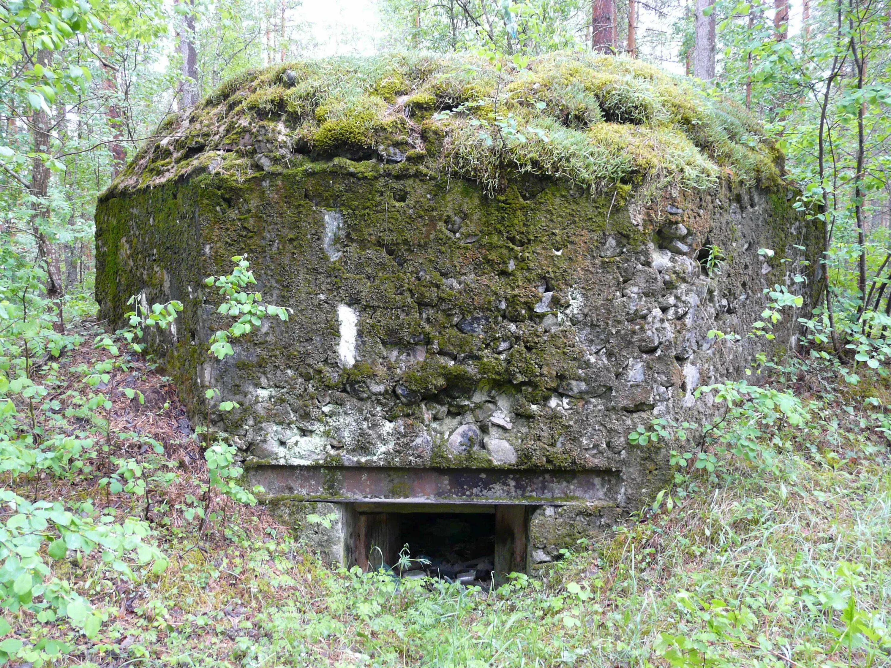 Очная с дот. Лужский оборонительный рубеж Луга. Лужская линия обороны. Лужский оборонительный рубеж 1941. Лужский рубеж окопы.