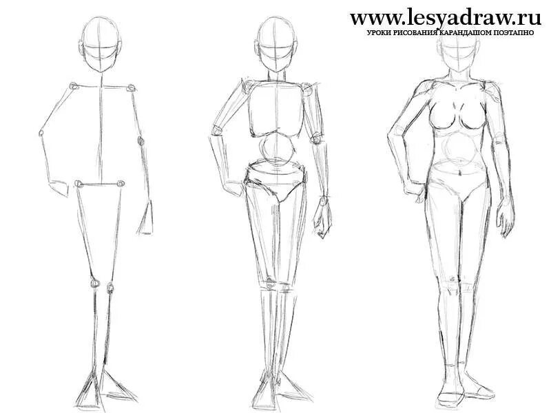 Рисовать человека поэтапно карандашом в полный рост. Как нарисовать тело пошагово. Как рисовать туловище человека поэтапно. Фигура человека для рисования. Анатомия тела для рисования.