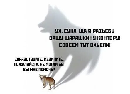 Здравствуйте извините я сегодня