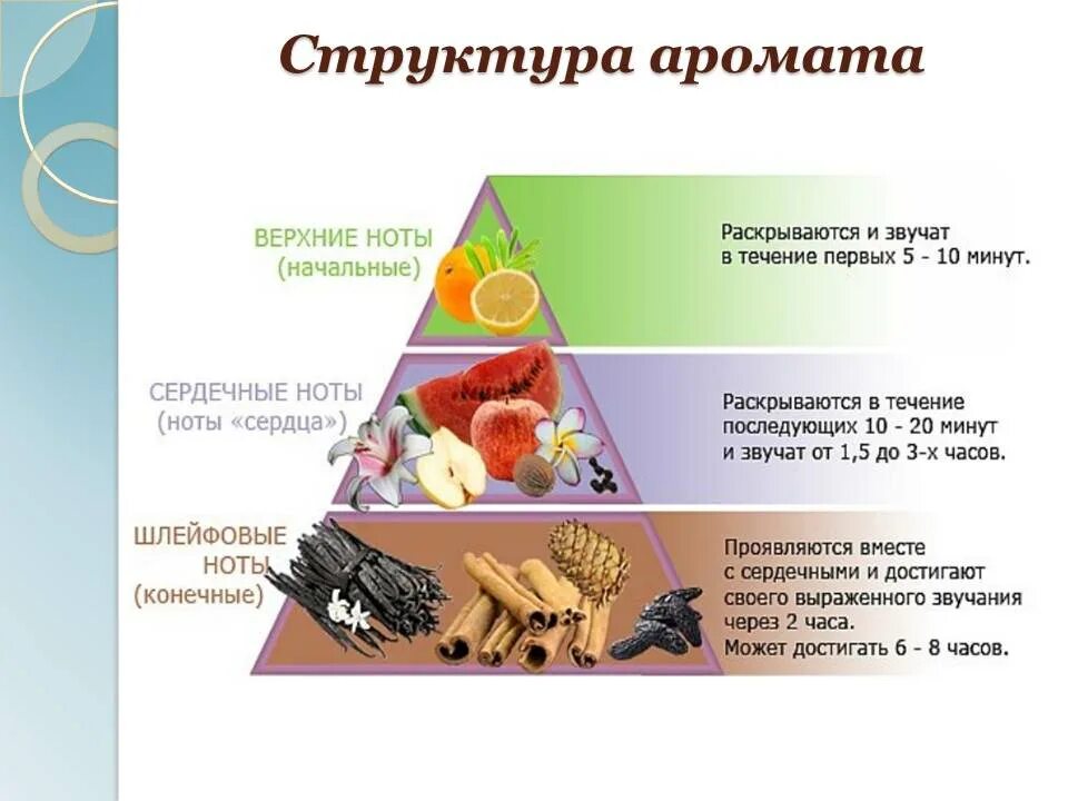 Верхние средние и базовые ноты аромата. Пирамида нот ароматов. верхние ноты духов. ароматы верхней ноты. пирамида запахов.