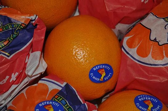 Апельсины страны производители. Апельсины Египет. Марки апельсинов. Апельсины производитель. Апельсины фирмы производители.