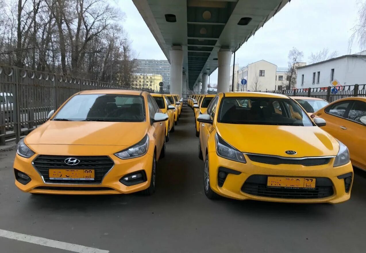 Аренда такси недорого. Hyundai Solaris Taxi. Желтый Киа Рио такси. Таксопарк Солярис. Желтое такси Солярис.