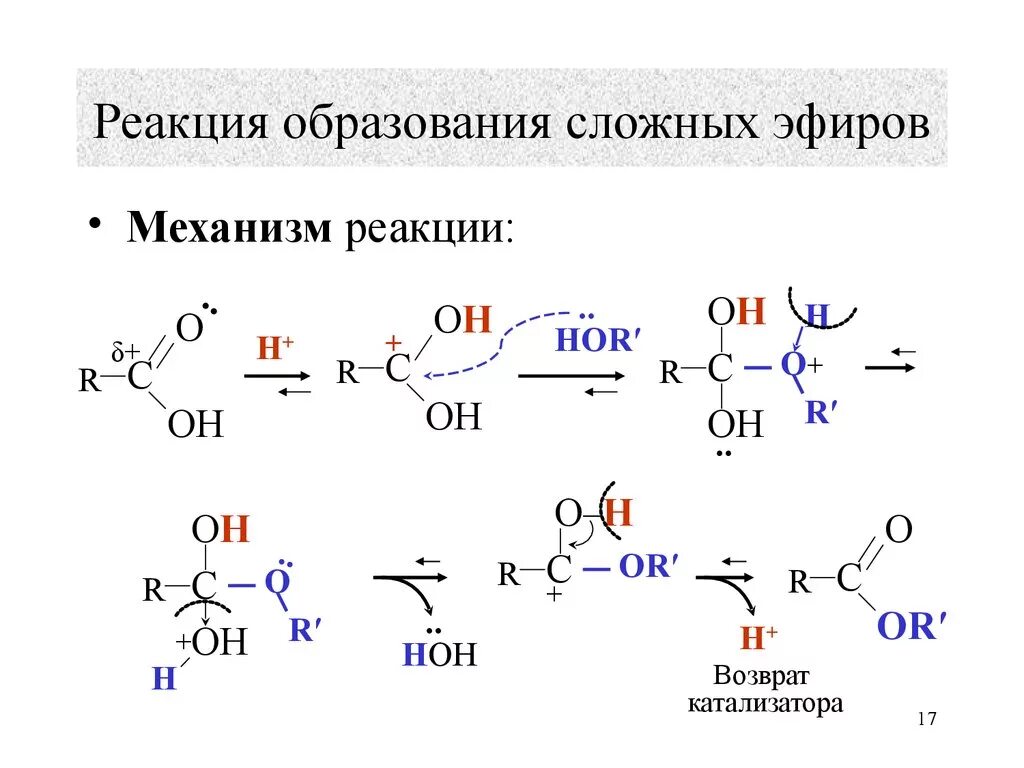 Сеханз реакции образования сложных эфиров. Механизм образования сложных эфиров. Механизм реакции образования сложного эфира. Синтез сложных эфиров механизм реакции.