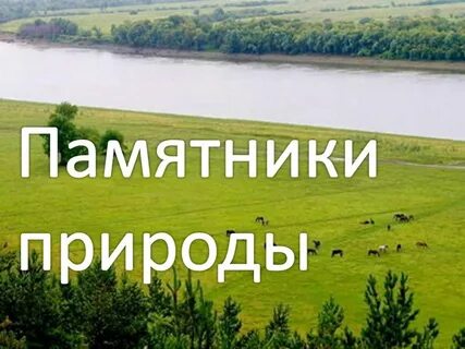 Памятник природы и истории