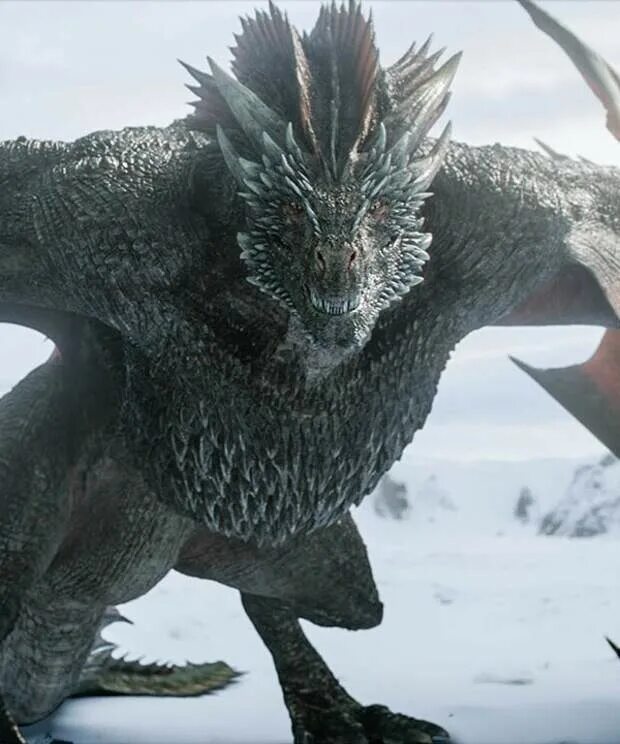 Игра престолов драконы. Самый большой дракон в игре престолов. Игра престолов балерион черный ужас. Дракон. Самый большой дракон в игре престолов.