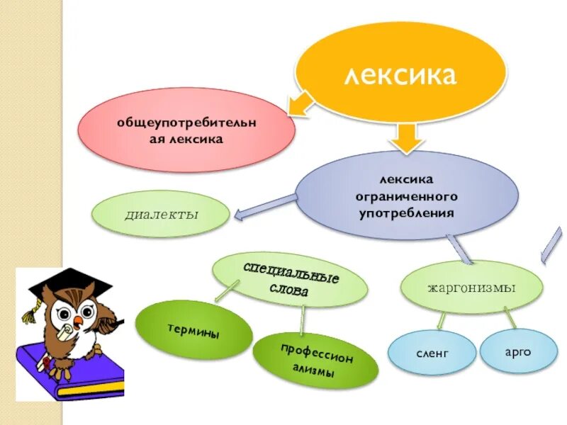 Лексика университет. Лексика. Лексика русского языка. Лексика и лексикология. Лексика 6 класс.