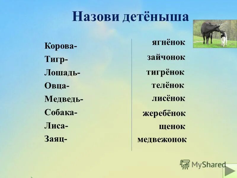 Детёныши домашних животных названия. Игра назови детеныша. Назови детенышей домашних животных. Имена домашних животных. Детеныш коровы как называется.