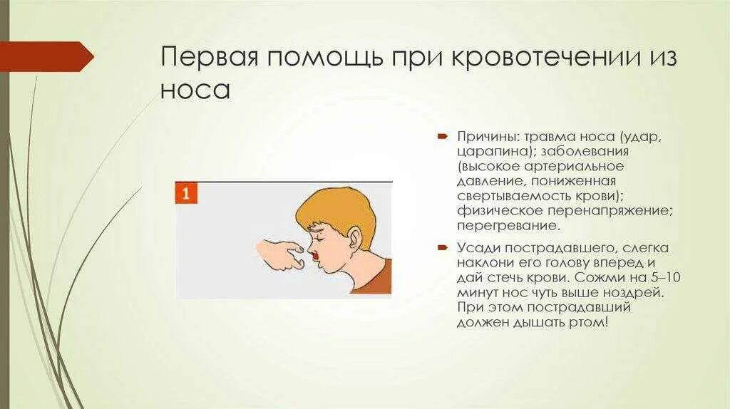 Алгоритм помощи при носовом. Первая помощь при кровотечении из носа. оказание первой помощи при носовом кровотечении. оказание первой помощи при травме носа. оказание помощи при кровотечении из носа.