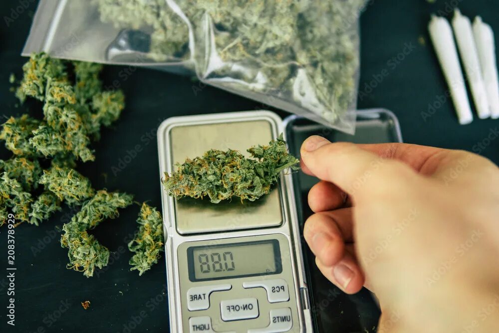 1,5 грамма марихуаны. Как выглядит 3 грамма. 1г бошек марихуаны. Как выглядит 3 грамма. Как выглядит 3 грамма.