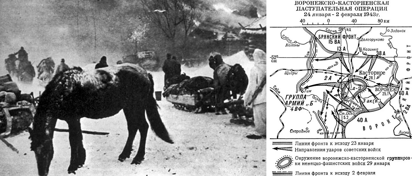 29 января 1943 ворошиловградская наступательная операция. Острогожско-россошанская наступательная операция 1943 года. План кольцо сталинградская битва. Ростовская наступательная операция 1943 карта. Северо-кавказская наступательная операция советских войск.