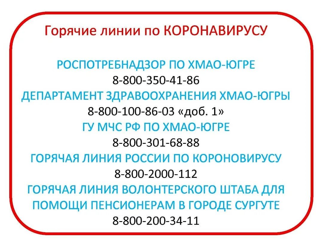 Сфр ростовской области горячая линия. Горячие линии по коронавирусу. Телефон горячей линии. Горячая линия по коронавирусу. Горячая линия по коронавирус.