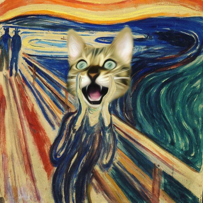 Матерь котья