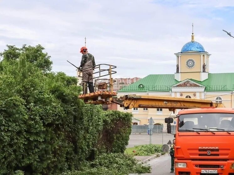 Зеленстрой ул шевченко 77б смоленск фото Пятёрочка, супермаркет, ул. Шевченко, 70, Смоленск Яндекс Карты