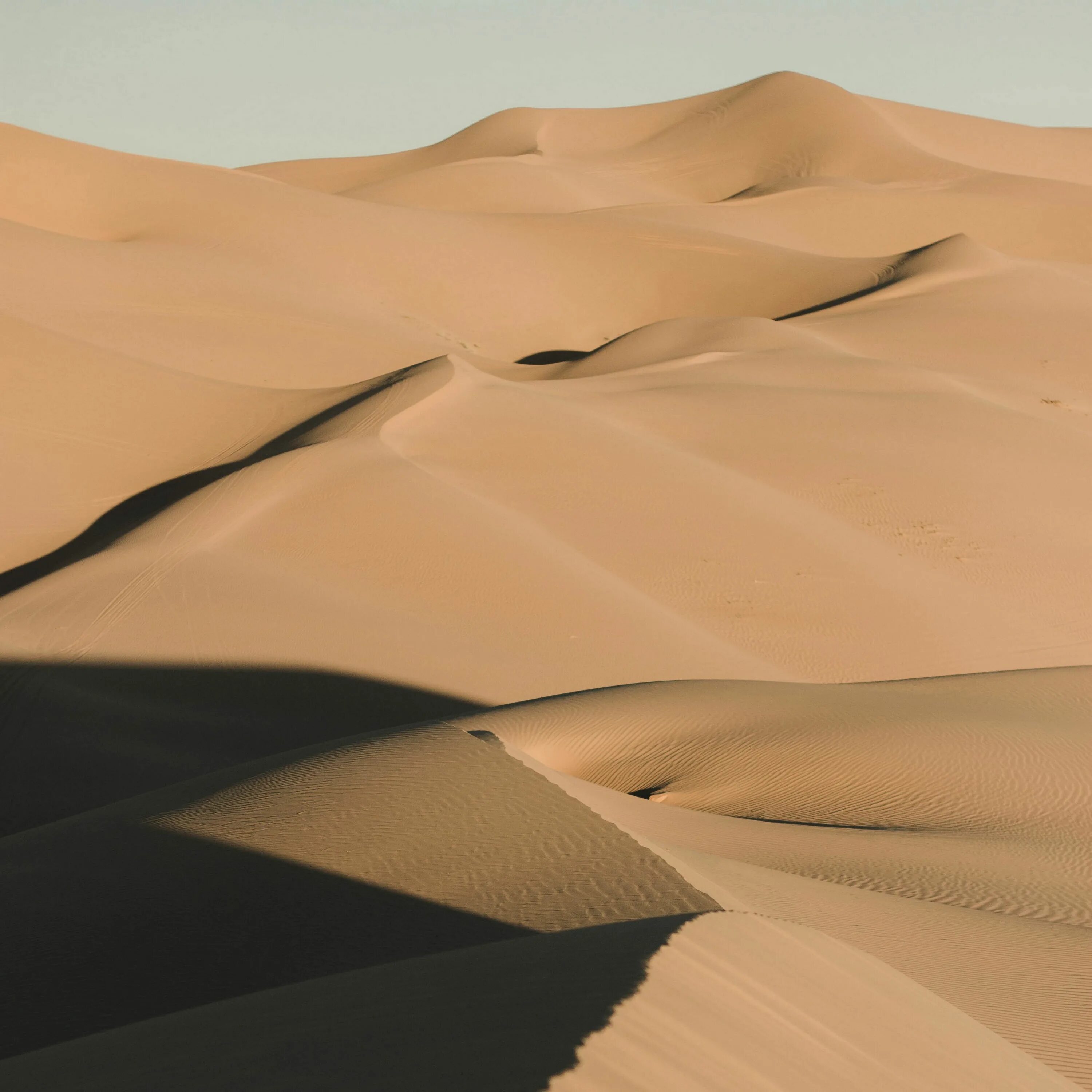 Барханы ханы. Пустыня Барханы Оазис. Барханы Пески пустыня. Барханы Сычево. Песок пустыни.