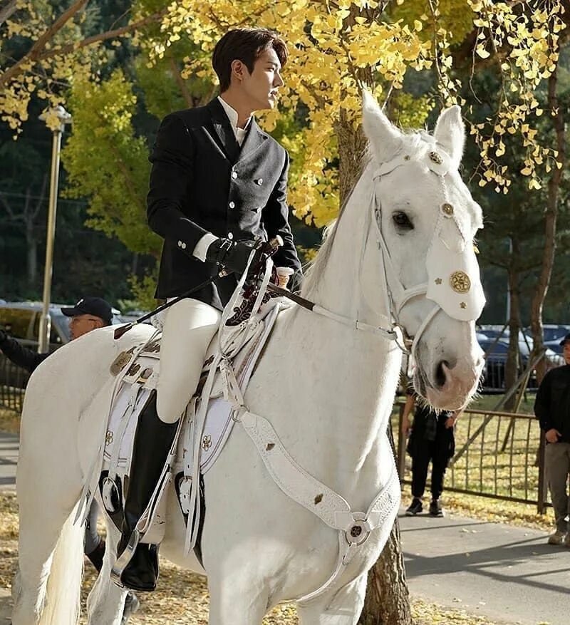Ли мин Хо Король вечный Монарх. Ли мин Хо на лошади. Принц на белом коне. Современный принц на белом коне.